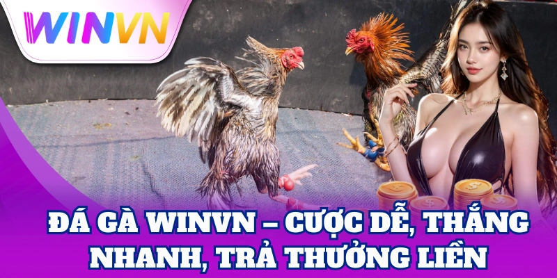 Đá Gà WinVN – Cược dễ, thắng nhanh, trả thưởng liền