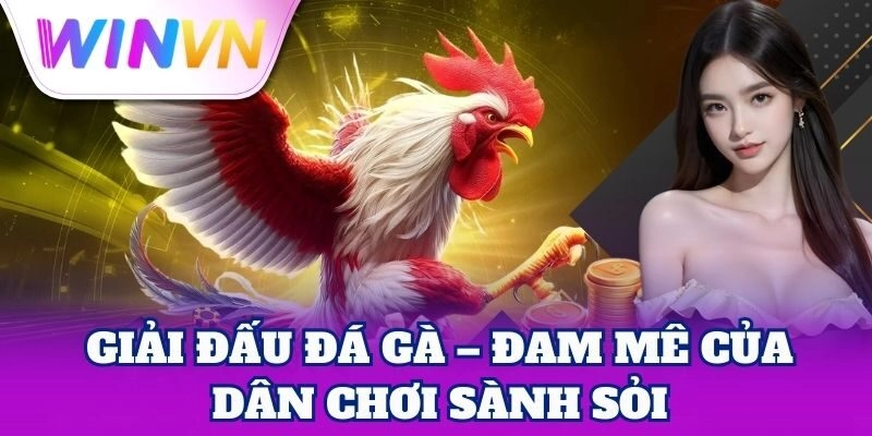 Giải Đấu Đá Gà – đam mê của dân chơi sành sỏi