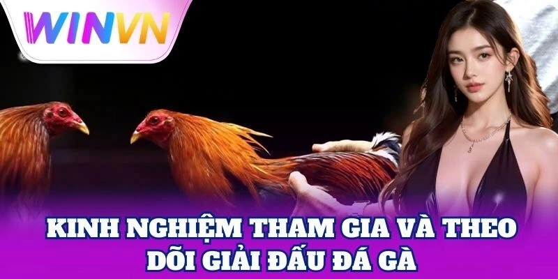 Mẹo quản lý vốn khi cá cược Giải Đấu Đá Gà